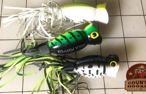 How to Fish a Hula Popper The Hula Popper