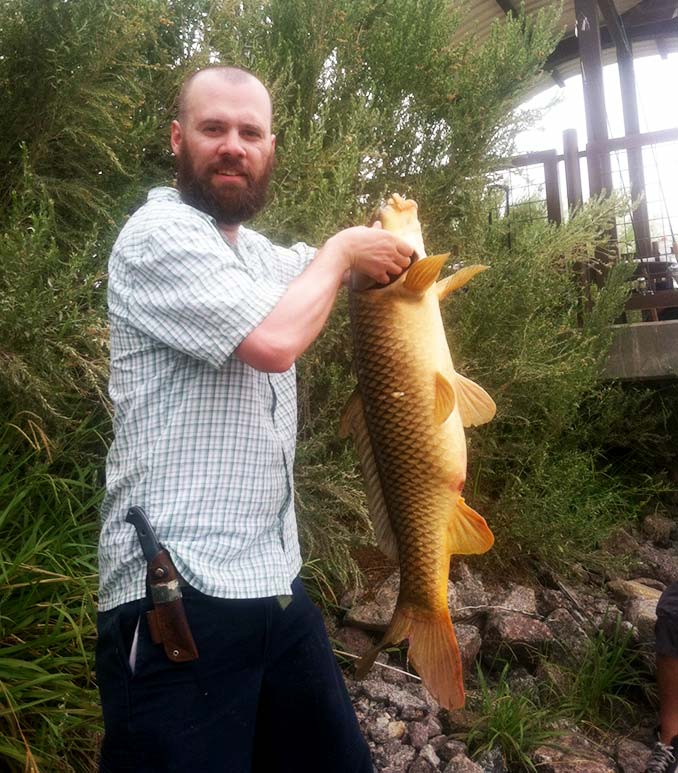 Giant Carp caught on the Colorado River in Laughlin, Nevada