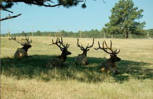 3 Great Tips To Make The Most Of Your Family Adventure The Great Outdoors