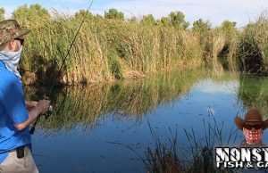 Las Vegas Fishing: Floyd Lamb Park