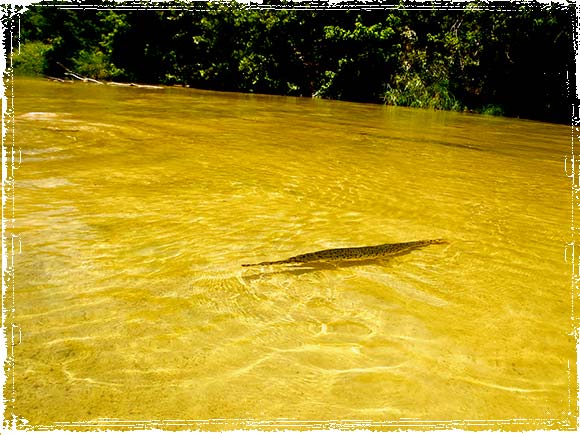 Garin Clear Water River