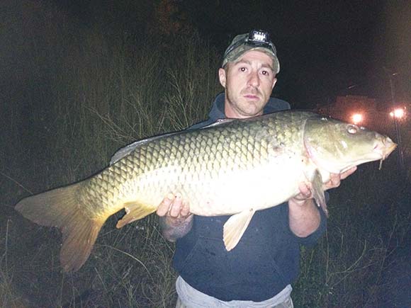 Giant Carp