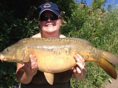 Carp Fever in the U.S.