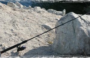 Ugly Stik GX2 Spinning Rod and Reel Combos