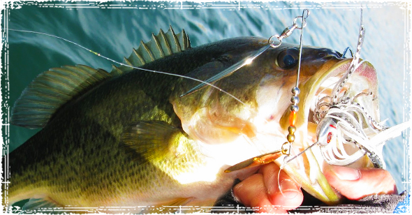 Bass Fishing – Targeting finicky, cold water Largemouth