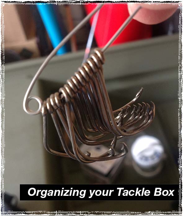 Tackle Box Organization Hack  Fishing tackle, Tackle box, Fishing tackle  organization