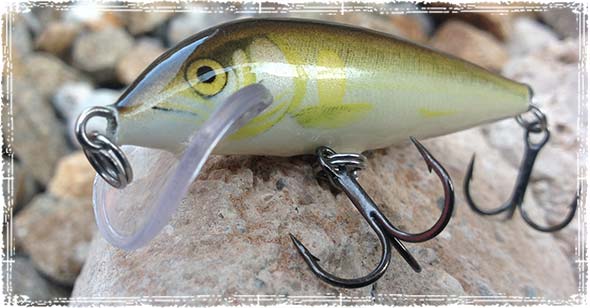 Rapala Scatter Rap Shad Crankbait