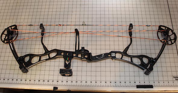 Bear Anarchy Measurements