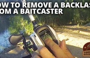 Baitcaster Backlash: How to Remove a Birdsnest from a Baitcaster How to Remove Backlash from a Baitcaster