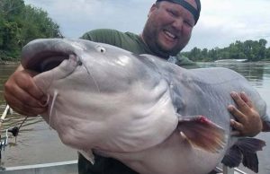 Monster Blue Catfish: 100+ Pound Cat Caught on Video Monster Blue Catfish