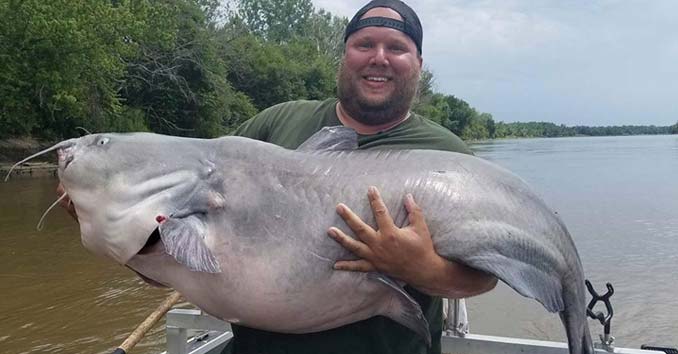 Northwoods Angling Catfish