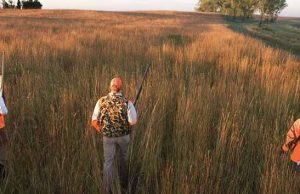 Indiana approves constitutional amendment protecting right to hunt and fish Indiana Hunters