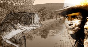 23 Country Music Songs About Fishing Country Music Fishing Songs