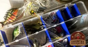 Best Bass Lures: The Top Go-To Bass Lures that are Guaranteed to Catch Fish Bass Lures