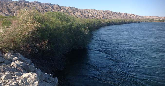 Colorado River near Laughlin