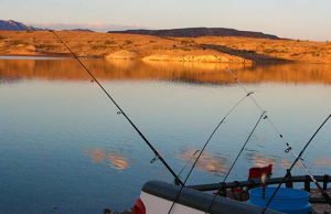 The Best Bass Fishing Spots in Nevada Fishing in Nevada