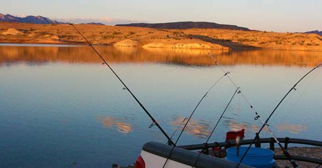 Fishing in Nevada