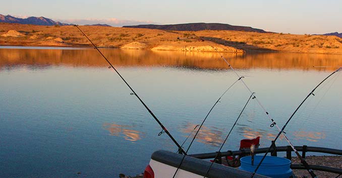 lake mead shore fishing spots