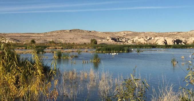 Fishing Lake Mohave in Nevada