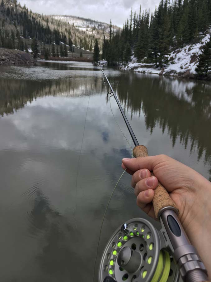 Fly Fishing a River