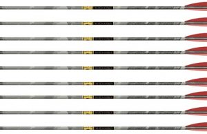 Gold Tip announces new Black Label Premium Arrows Gold Tip Black Label Arrows