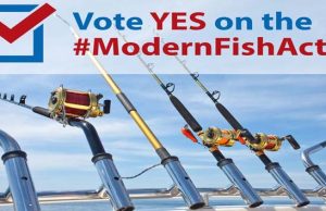 Modern Fish Act – Bipartisan to improve federal marine recreational fisheries management Modern Fish Act