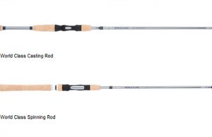 Fenwick Updates World Class and Techna PX Rods With New 3M Powerlux Technology Fenwick Rods with 3