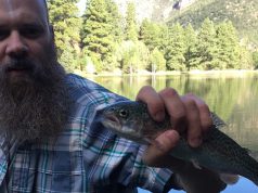 Fishing Little Reservior in the Tushar Mountains near Beaver, Utah Fishing for Rainbow Trout at Little Reservoir in Utah