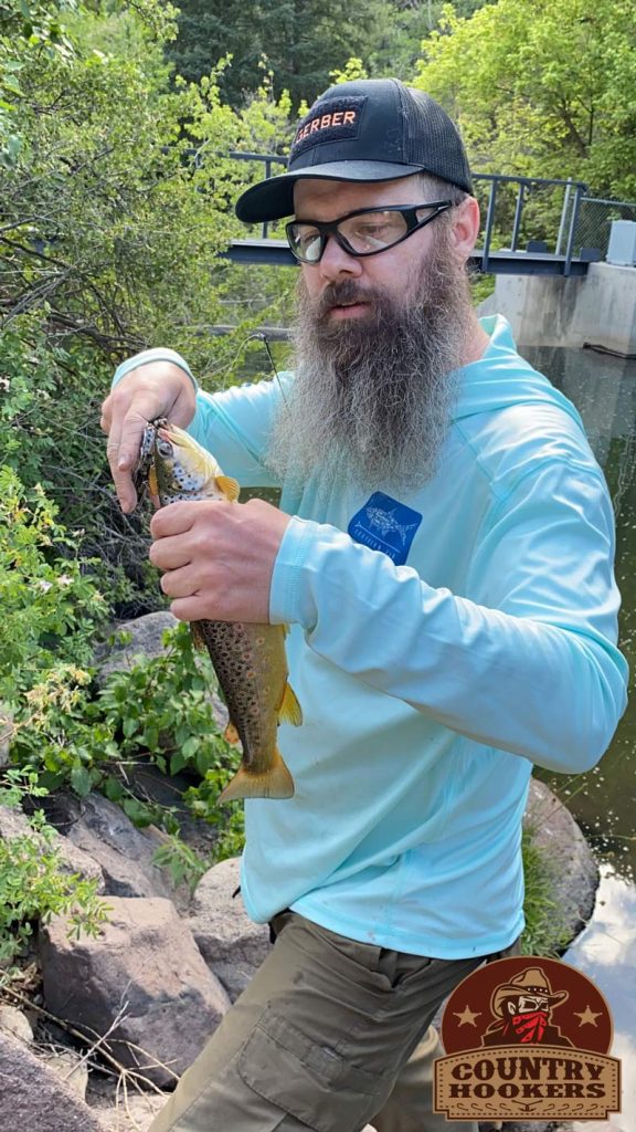 Beaver River Brown Trout