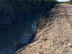 Fishing the Muddy River in Southern Nevada Muddy River in Southern Nevada near Overton