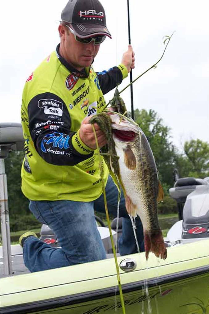 Bass Fishing Tips from Kellogg's Frosted Flakes pro Dave Lefebre