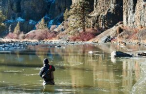 Beginner Fly Fishing Tips & Techniques