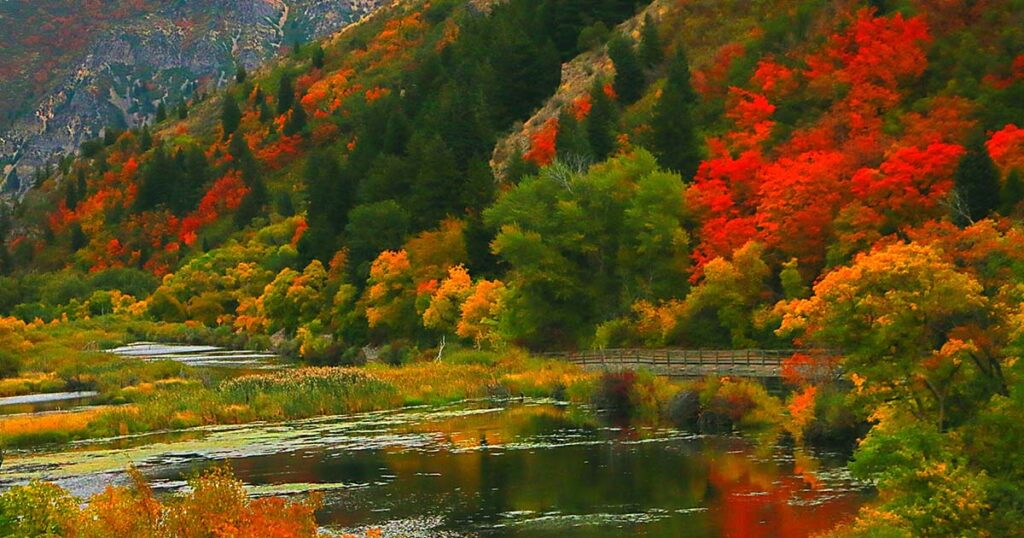 Provo River in Utah