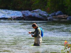 Unlocking the Secrets of the Provo River: Fishing Tips & Techniques for the Provo in Utah Fly Fishing the Provo River in Utah