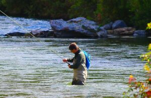 Unlocking the Secrets of the Provo River: Fishing Tips & Techniques for the Provo in Utah Fly Fishing the Provo River in Utah