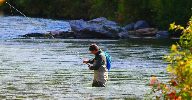 Fly Fishing the Provo River in Utah